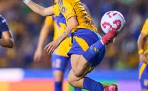 Camaronsin de Lizbeth Ovalle le da la vuelta al mundo ¿Se lleva el Premio Marta? Camaronsin de Lizbeth Ovalle le da la vuelta al mundo ¿Se lleva el Premio Marta?