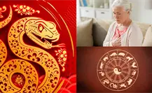 Horóscopo Chino: Así te va a ir de salud en este cierre de año según tu animal Horóscopo Chino: Así te va a ir de salud en este cierre de año según tu animal