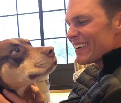 Tom Brady altera al internet con una perra clonada (Foto: Especial)