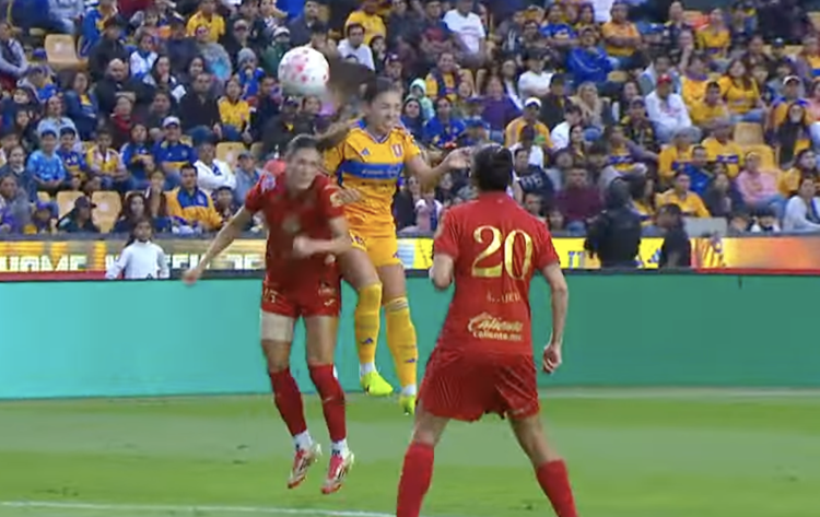 imagen-cuerpo imagen-cuerpo