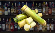 Profeco encuentra el mejor licor de caña de todos y solo cuesta 30 pesos Profeco encuentra el mejor licor de caña de todos y solo cuesta 30 pesos