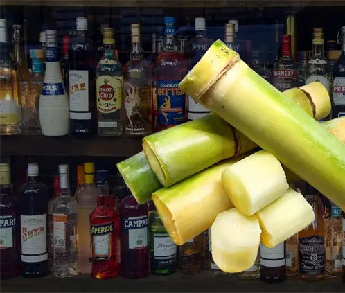 Profeco encuentra el mejor licor de caña de todos y solo cuesta 30 pesos (Foto: Canva) Profeco encuentra el mejor licor de caña de todos y solo cuesta 30 pesos (Foto: Canva)