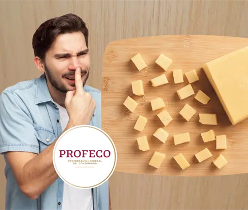 La Profeco compartió el resultado al analizar una variedad de modelos de queso en México (Foto: Canva y Profeco) La Profeco compartió el resultado al analizar una variedad de modelos de queso en México (Foto: Canva y Profeco)