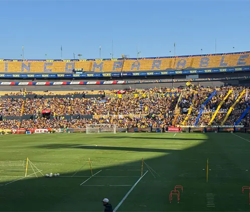 Los Tigres aspiran a ganar su noveno campeonato de la Liga MX. @javialonsordz Los Tigres aspiran a ganar su noveno campeonato de la Liga MX. @javialonsordz